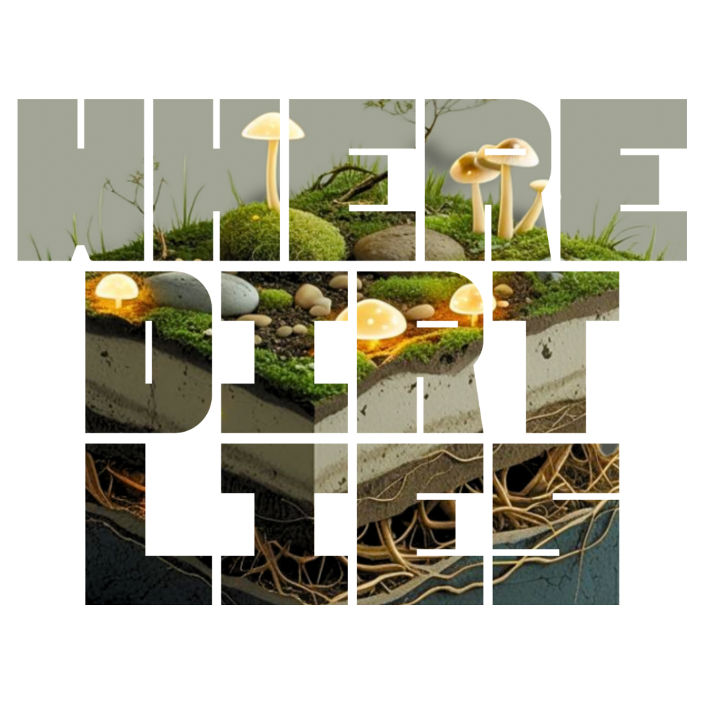 @WhereDirtLies Logo